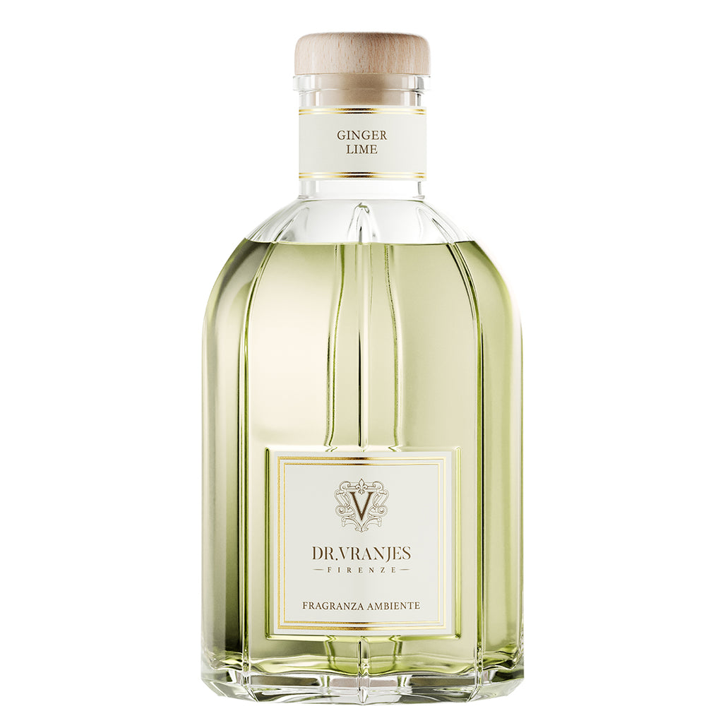 Dr. Vranjes Firenze Ginger Lime Vase 2500ML Difüzör